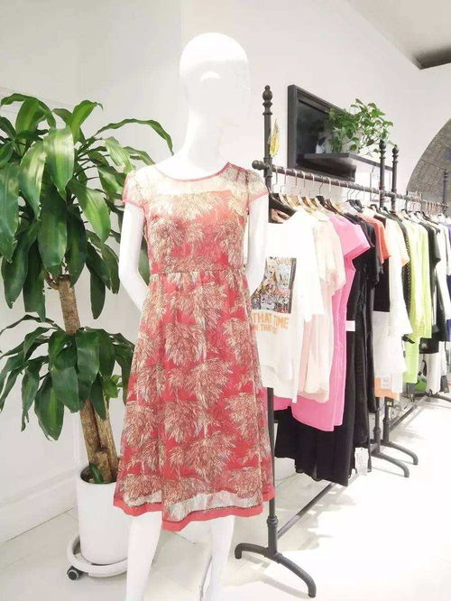 慧蘭女裝 優(yōu)雅風(fēng)尚，演繹東方女性的獨(dú)特魅力